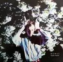 LP - Momus - Tender Pervert