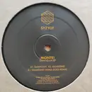 12inch Vinyl Single - Montei - Danndan EP - EP
