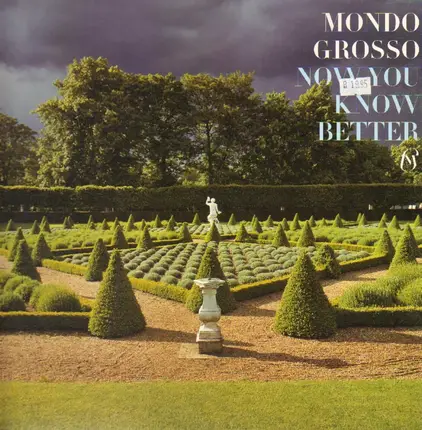 Mondo Grosso - Now You Know Better
