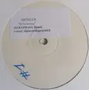 2 x 12inch Vinyl Single - Monia's - In Da House (Lost Tribal Remix) - promo