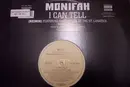 12'' - Monifah - I Can Tell (Remix)
