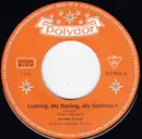 7inch Vinyl Single - Monika Grimm - Liebling, My Darling, My Sunshine