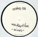12inch Vinyl Single - Monkeytribe - Delaware (The Mixes) - Test Pressing