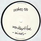 Monkeytribe - Delaware (The Mixes)