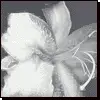 Monne Automne - El Salvador (Remixes)