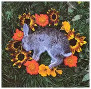 CD - Monolord - Your Time To Shine