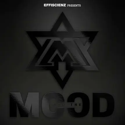 Mood - Into The Mood