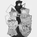 Double LP - Moomin - The Story About You