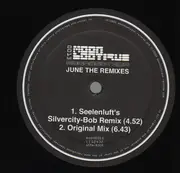 12inch Vinyl Single - Moonbootica - June (The Remixes)