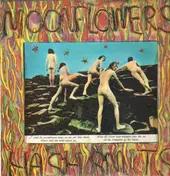 Moonflowers - Hash Smits