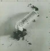 Mobile Disaster Unit