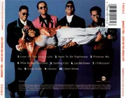 CD - Modest Fōk - Love Or The Single Life