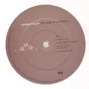 Double LP - Modest Mouse - The Moon & Antarctica