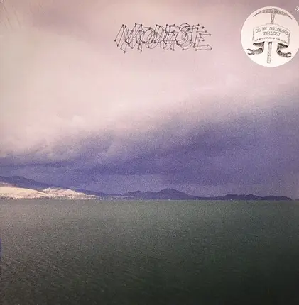 Modest Mouse - The Fruit That Ate Itself