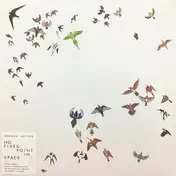 Modern Nature - No Fixed Point In Space