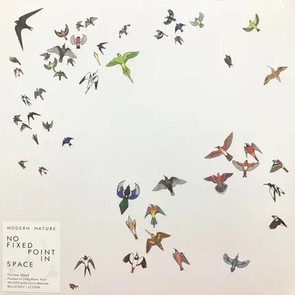 Modern Nature - No Fixed Point In Space