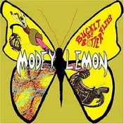 Modey Lemon - Bucket of Butterflies