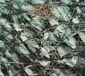 Dieter Moebius - Ersatz