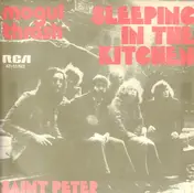 Mogul Thrash - Sleeping In The Kitchen