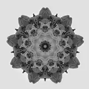 12inch Vinyl Single - Moi - 05