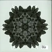 12inch Vinyl Single - Moi - 05