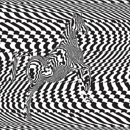 Moire - Gel EP