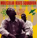 12inch Vinyl Single - Molecular Beats Squadron - Coming By Storm / Transmit Power