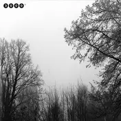 MOLLONO.BASS - Sos