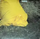 12inch Vinyl Single - Mollono.Bass - My Hidden Playground