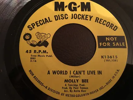 Molly Bee - Everything But Your Name / A World I Can't Live In