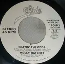 7inch Vinyl Single - Molly Hatchet - Beatin' The Odds