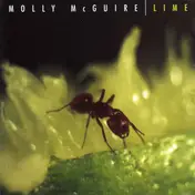 Molly McGuire - Lime
