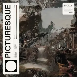 Molly - Picturesque