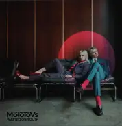 The Molotovs - Wasted On Youth