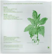 LP & MP3 - Mort Garson - Mother Earth's Plantasia - + Download