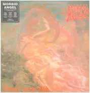 Morbid Angel - Blessed Are the Sick