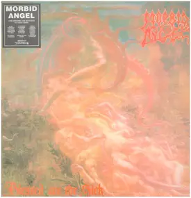 Morbid Angel - Blessed Are the Sick