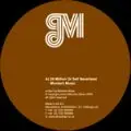 12'' - Mordant Music/Vindicatrix - 24 Million/Private Places (Shackleton)