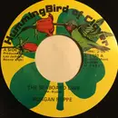 7inch Vinyl Single - Morgan Ruppe - The Seaboard Line
