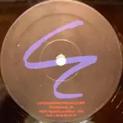 12inch Vinyl Single - Morgana Lee - How Can I Love