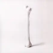 Honest Jon's Records