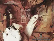 CD - Morning After - Beneath The Real - Still Sealed