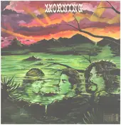 Morning - Morning