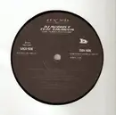 2 x 12inch Vinyl Single - Morris T - The Third Pleasure - promo