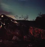 Morrison Kincannon - Beneath the Redwoods