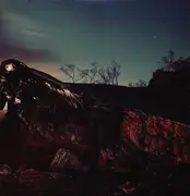 LP - Morrison Kincannon - Beneath the Redwoods