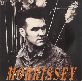 Morrissey - November spawned a monster