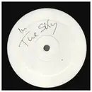 12inch Vinyl Single - Moston & Malente - In The Sky - Promo