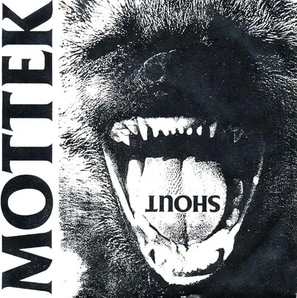Mottek / Raw Power - Untitled