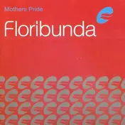 Mother's Pride - Floribunda